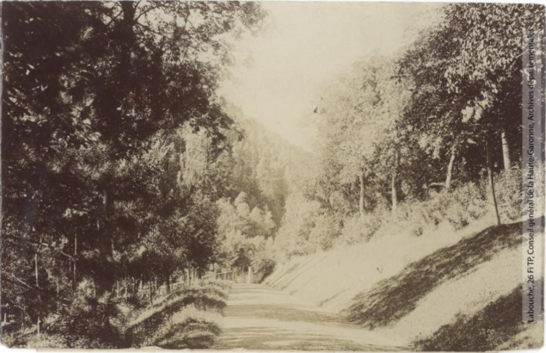 Vallée du Rébenti [Rebenty], Aude, parc du château de Niort[-de-Sault], avenue de Niave. - Toulouse : maison Labouche frères, [entre 1900 et 1920]. - Photographie (1900/1920) recto